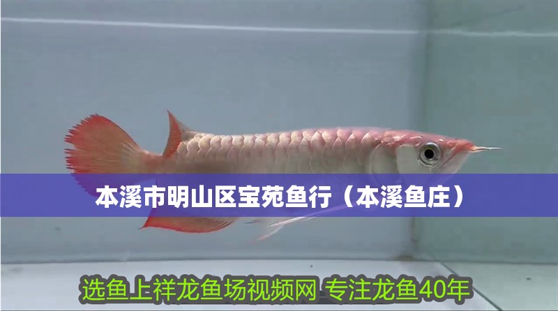 本溪市明山區寶苑魚行（本溪魚莊）