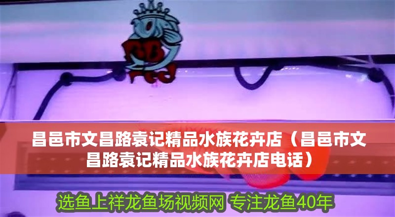 昌邑市文昌路袁記精品水族花卉店（昌邑市文昌路袁記精品水族花卉店電話）