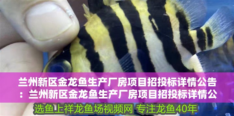 印尼虎魚苗能和虎皮魚一起養嗎