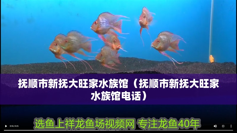 撫順市新撫大旺家水族館（撫順市新撫大旺家水族館電話）