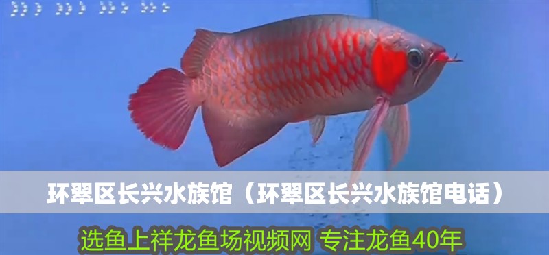 環(huán)翠區(qū)長(zhǎng)興水族館（環(huán)翠區(qū)長(zhǎng)興水族館電話(huà)）