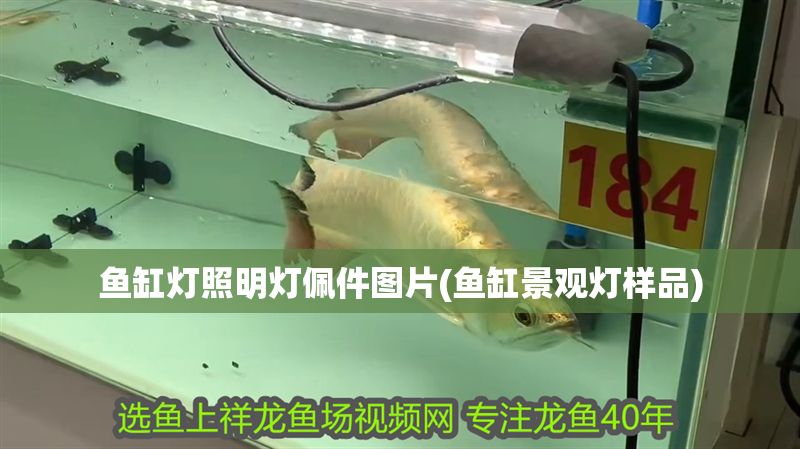 魚缸燈照明燈佩件圖片(魚缸景觀燈樣品)