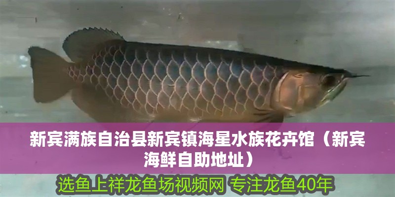 新賓滿族自治縣新賓鎮海星水族花卉館（新賓海鮮自助地址）
