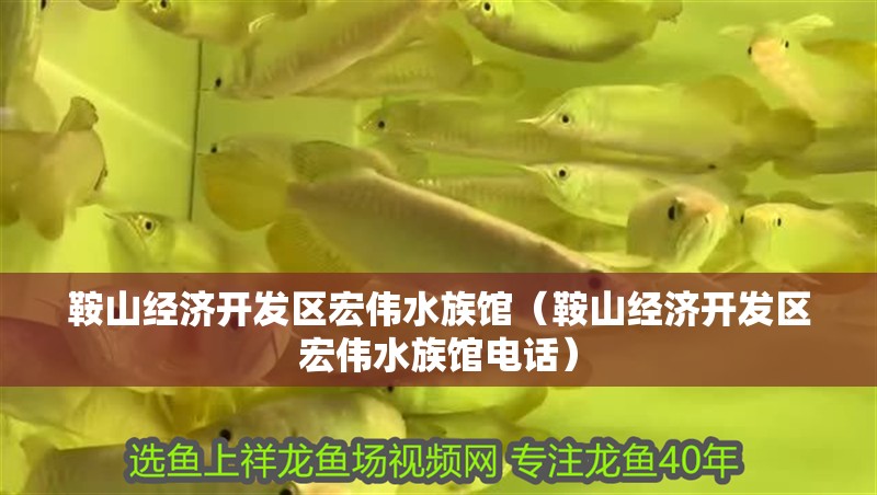 鞍山經(jīng)濟(jì)開發(fā)區(qū)宏偉水族館（鞍山經(jīng)濟(jì)開發(fā)區(qū)宏偉水族館電話）