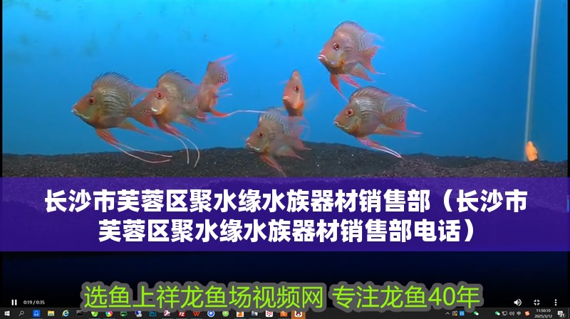 長沙市芙蓉區(qū)聚水緣水族器材銷售部（長沙市芙蓉區(qū)聚水緣水族器材銷售部電話）