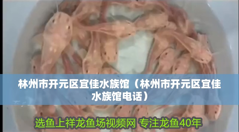 林州市開元區宜佳水族館（林州市開元區宜佳水族館電話）