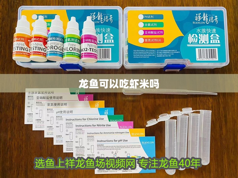 龍魚可以吃蝦米嗎