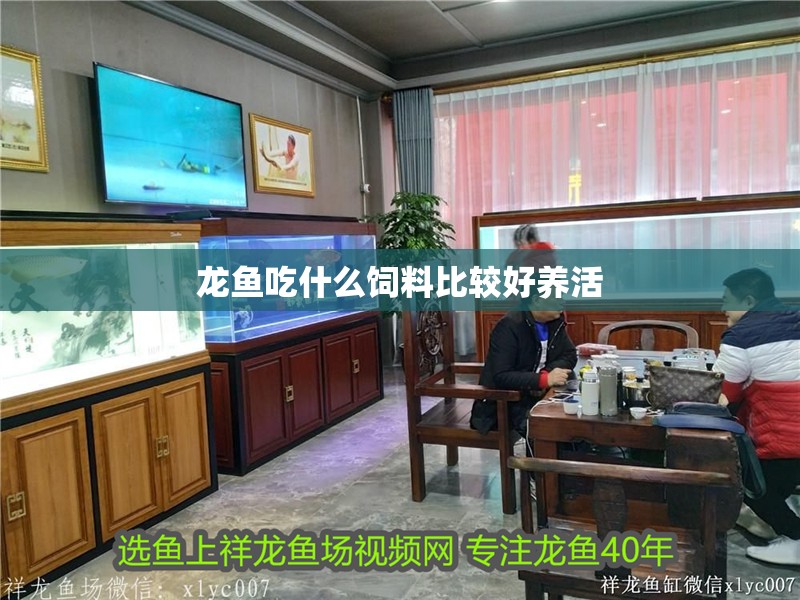 龍魚吃什么飼料比較好養活