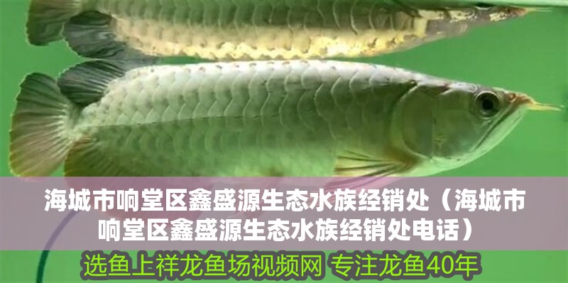 海城市響堂區(qū)鑫盛源生態(tài)水族經(jīng)銷處（海城市響堂區(qū)鑫盛源生態(tài)水族經(jīng)銷處電話）