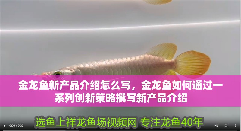 金龍魚新產品介紹怎么寫，金龍魚如何通過一系列創新策略撰寫新產品介紹