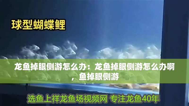 龍魚掉眼側游怎么辦：龍魚掉眼側游怎么辦啊，魚掉眼側游