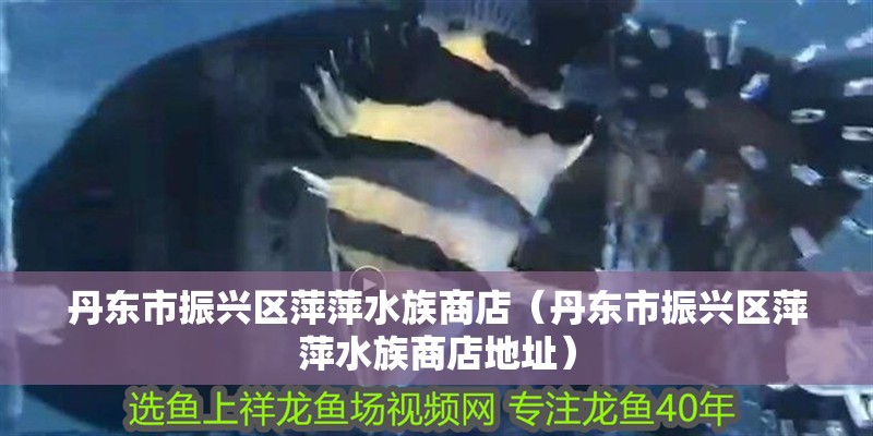 丹東市振興區(qū)萍萍水族商店（丹東市振興區(qū)萍萍水族商店地址）