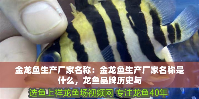 金龍魚生產廠家名稱：金龍魚生產廠家名稱是什么，龍魚品牌歷史與