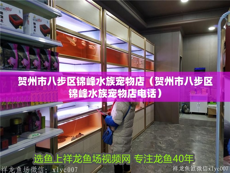 賀州市八步區錦峰水族寵物店（賀州市八步區錦峰水族寵物店電話）