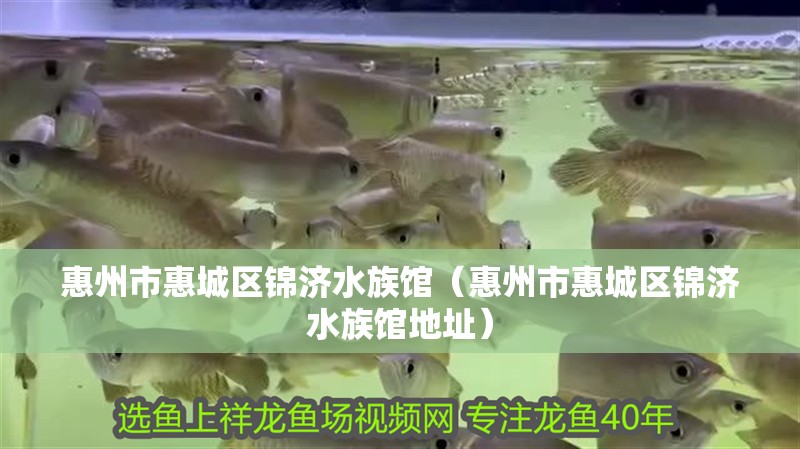 惠州市惠城區錦濟水族館（惠州市惠城區錦濟水族館地址） 惠州市惠城區錦濟水族館（惠州市惠城區錦濟水族館地址） 全國水族館企業名錄 第2張