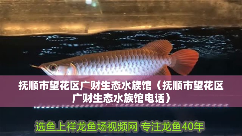 撫順市望花區(qū)廣財生態(tài)水族館（撫順市望花區(qū)廣財生態(tài)水族館電話）