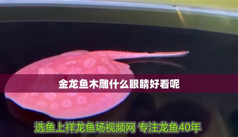 金龍魚木雕什么眼睛好看呢