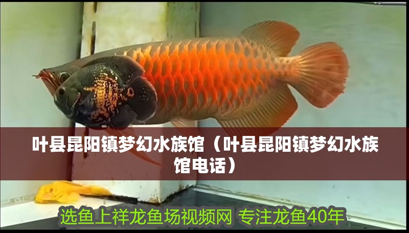 葉縣昆陽鎮夢幻水族館（葉縣昆陽鎮夢幻水族館電話）