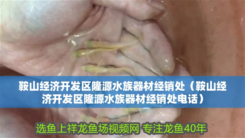 鞍山經(jīng)濟(jì)開(kāi)發(fā)區(qū)隆源水族器材經(jīng)銷處（鞍山經(jīng)濟(jì)開(kāi)發(fā)區(qū)隆源水族器材經(jīng)銷處電話）