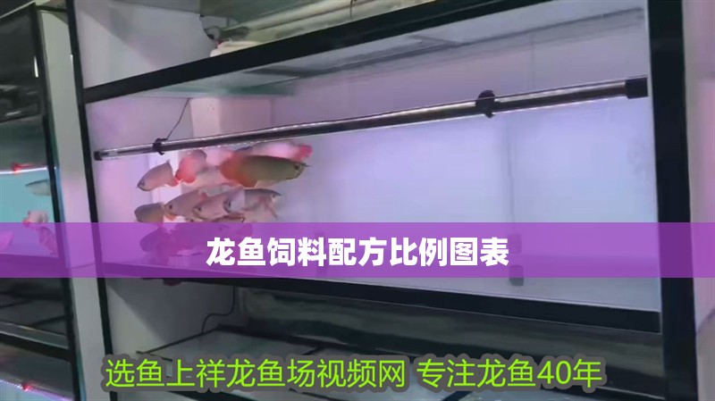 龍魚飼料配方比例圖表