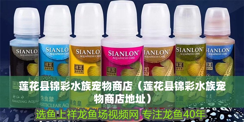 蓮花縣錦彩水族寵物商店（蓮花縣錦彩水族寵物商店地址）