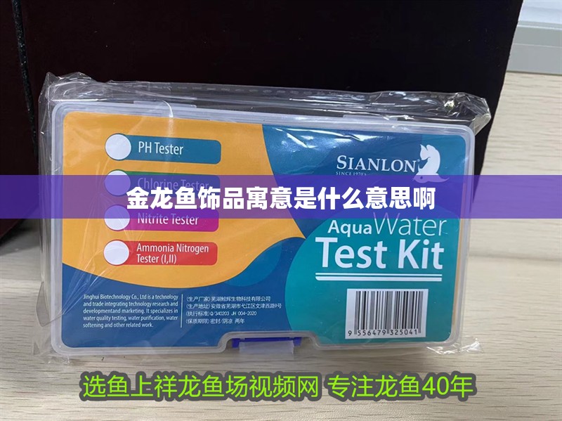 金龍魚飾品寓意是什么意思啊