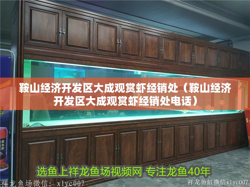 鞍山經(jīng)濟(jì)開發(fā)區(qū)大成觀賞蝦經(jīng)銷處（鞍山經(jīng)濟(jì)開發(fā)區(qū)大成觀賞蝦經(jīng)銷處電話）