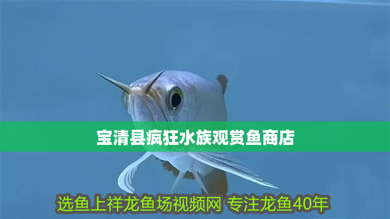 寶清縣瘋狂水族觀賞魚商店