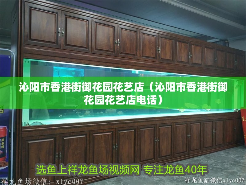 沁陽市香港街御花園花藝店（沁陽市香港街御花園花藝店電話）