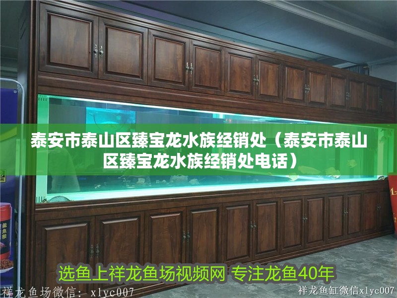 泰安市泰山區(qū)臻寶龍水族經(jīng)銷處（泰安市泰山區(qū)臻寶龍水族經(jīng)銷處電話）