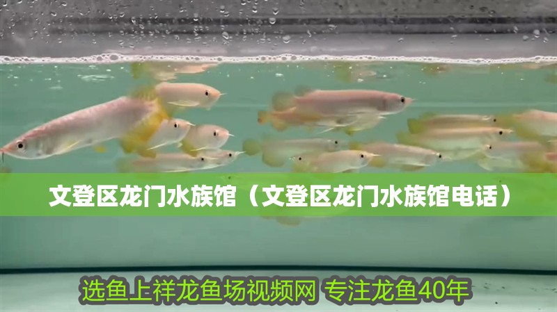 文登區(qū)龍門水族館（文登區(qū)龍門水族館電話）