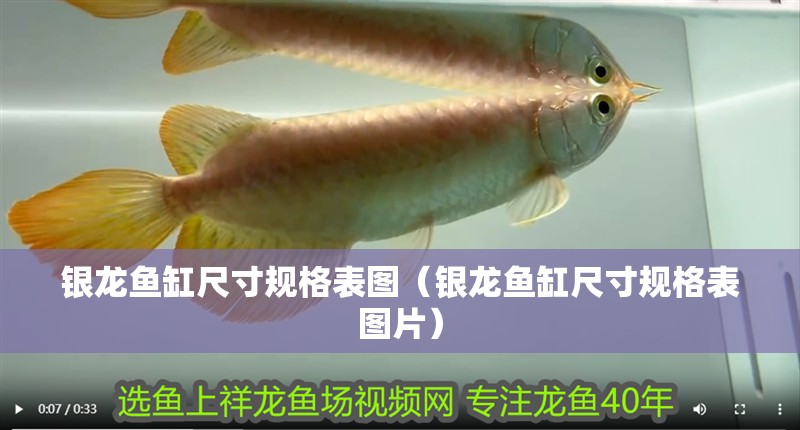 銀龍魚缸尺寸規格表圖（銀龍魚缸尺寸規格表圖片）