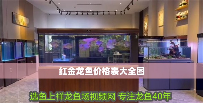 紅金龍魚價格表大全圖
