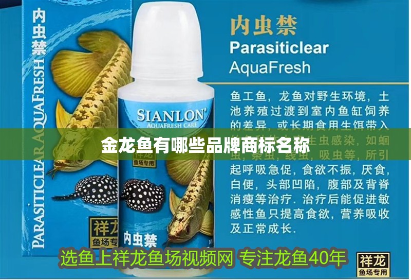 金龍魚有哪些品牌商標(biāo)名稱
