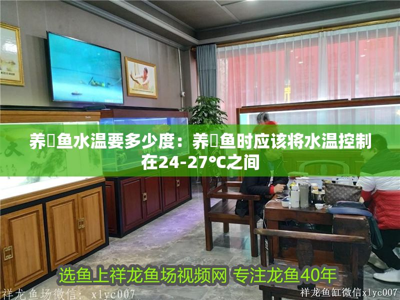 養魟魚水溫要多少度：養魟魚時應該將水溫控制在24-27℃之間