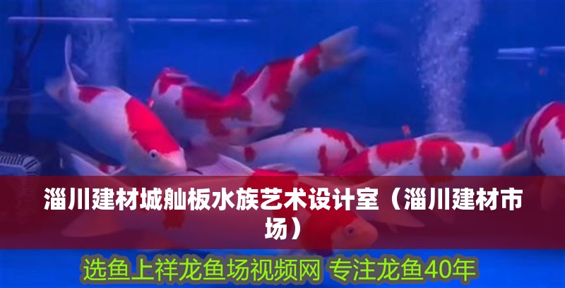 淄川建材城舢板水族藝術設計室（淄川建材市場） 淄川建材城舢板水族藝術設計室（淄川建材市場） 全國水族館企業名錄 第4張