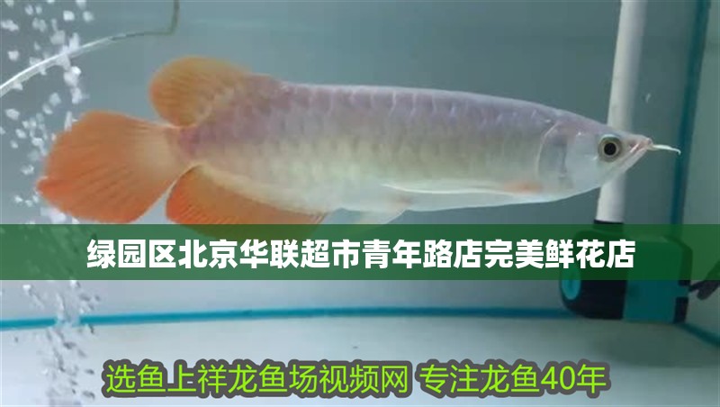 綠園區北京華聯超市青年路店完美鮮花店