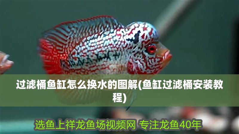 過濾桶魚缸怎么換水的圖解(魚缸過濾桶安裝教程)
