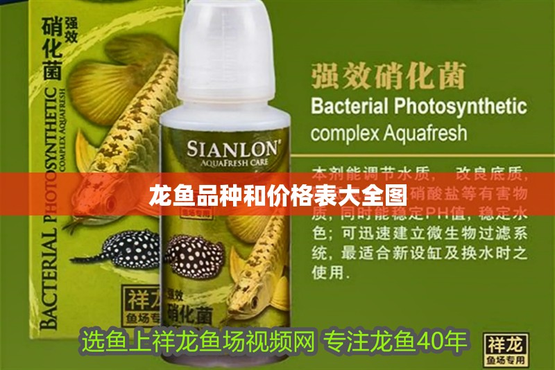 龍魚品種和價格表大全圖 龍魚品種和價格表大全圖 龍魚百科 第2張