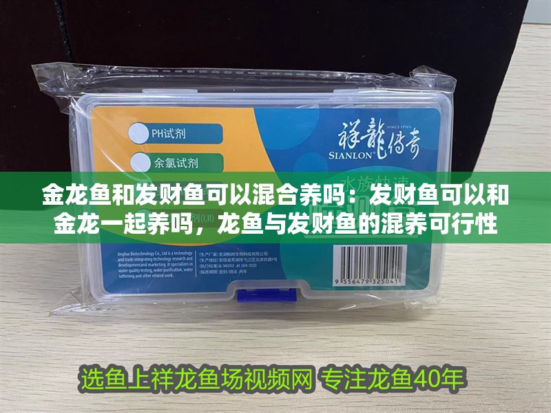 金龍魚和發財魚可以混合養嗎：發財魚可以和金龍一起養嗎，龍魚與發財魚的混養可行性