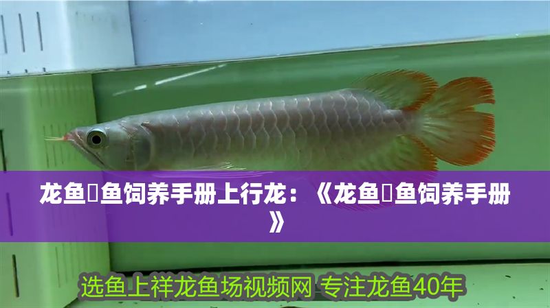 龍魚魟魚飼養手冊上行龍：《龍魚魟魚飼養手冊》
