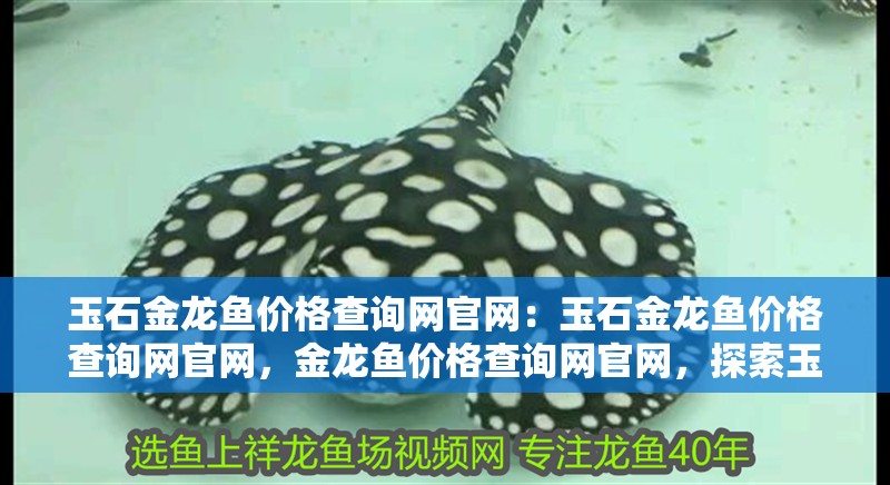 玉石金龍魚(yú)價(jià)格查詢(xún)網(wǎng)官網(wǎng)：玉石金龍魚(yú)價(jià)格查詢(xún)網(wǎng)官網(wǎng)，金龍魚(yú)價(jià)格查詢(xún)網(wǎng)官網(wǎng)，探索玉石金龍魚(yú)的