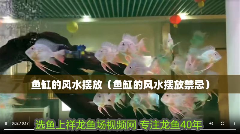 魚缸的風水擺放（魚缸的風水擺放禁忌）