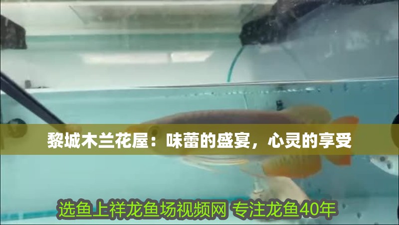 黎城木蘭花屋：味蕾的盛宴，心靈的享受