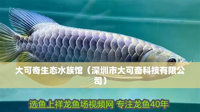 大可奇生態(tài)水族館（深圳市大可奇科技有限公司）