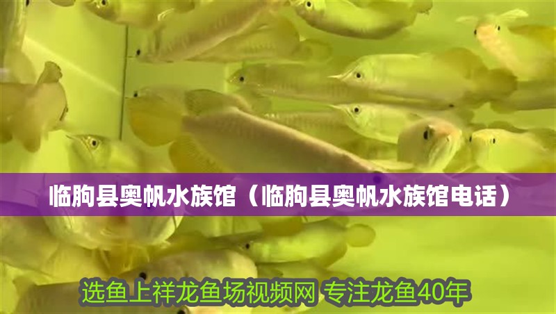 臨朐縣奧帆水族館（臨朐縣奧帆水族館電話）