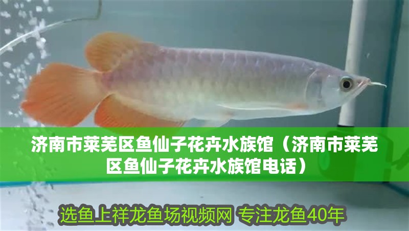 濟南市萊蕪區魚仙子花卉水族館（濟南市萊蕪區魚仙子花卉水族館電話）