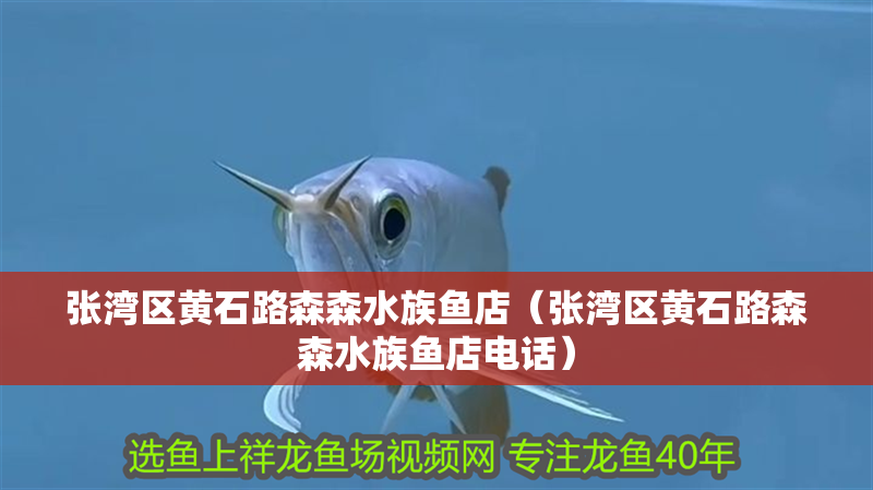 張灣區黃石路森森水族魚店（張灣區黃石路森森水族魚店電話）