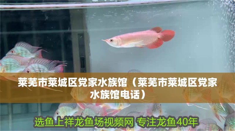 萊蕪市萊城區(qū)黨家水族館(萊蕪市萊城區(qū)黨家水族館電話) 全國水族館企業(yè)名錄 第2張 萊蕪市萊城區(qū)黨家水族館(萊蕪市萊城區(qū)黨家水族館電話) 萊蕪市萊城區(qū)黨家水族館(萊蕪市萊城區(qū)黨家水族館電話) 全國水族館企業(yè)名錄 第2張
