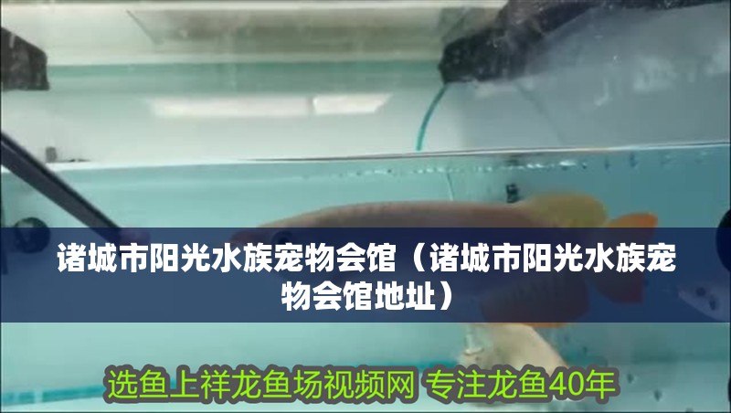 諸城市陽光水族寵物會館(諸城市陽光水族寵物會館地址) 全國水族館企業名錄 第2張 諸城市陽光水族寵物會館(諸城市陽光水族寵物會館地址) 諸城市陽光水族寵物會館(諸城市陽光水族寵物會館地址) 全國水族館企業名錄 第2張